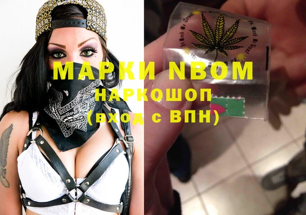 ALPHA PVP Горнозаводск