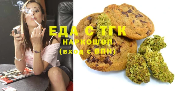 ешки Горняк
