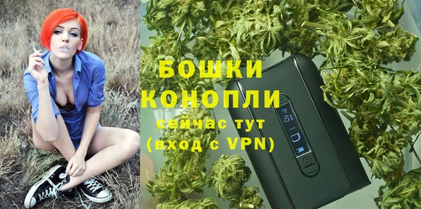 спиды Горно-Алтайск