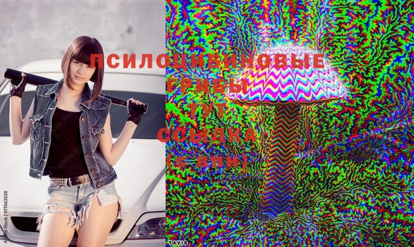 ешки Горняк