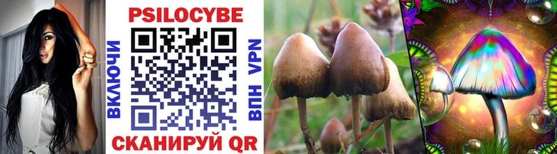 Галлюциногенные грибы Psilocybe  Малоархангельск 